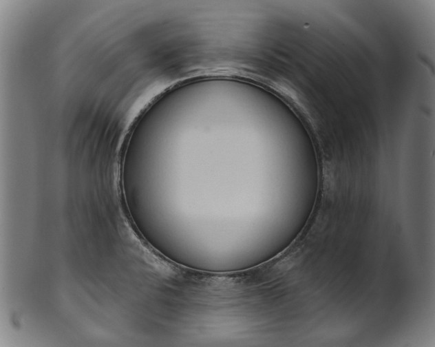 X0000101231424200807111109