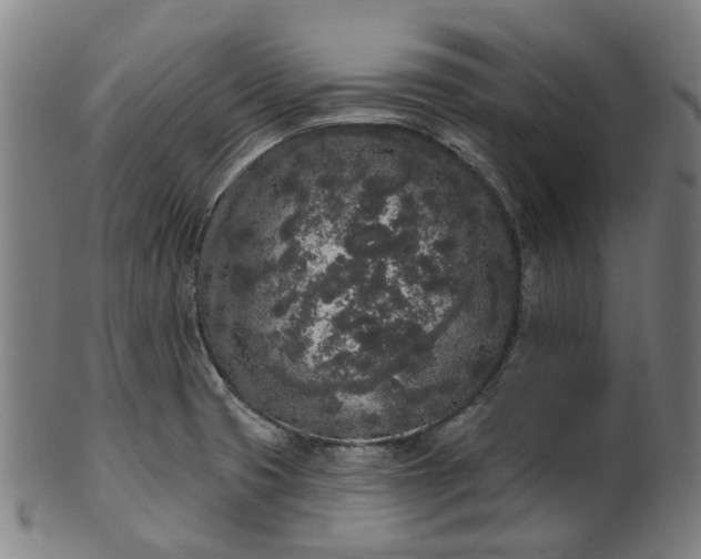 X0000101231425200807111109