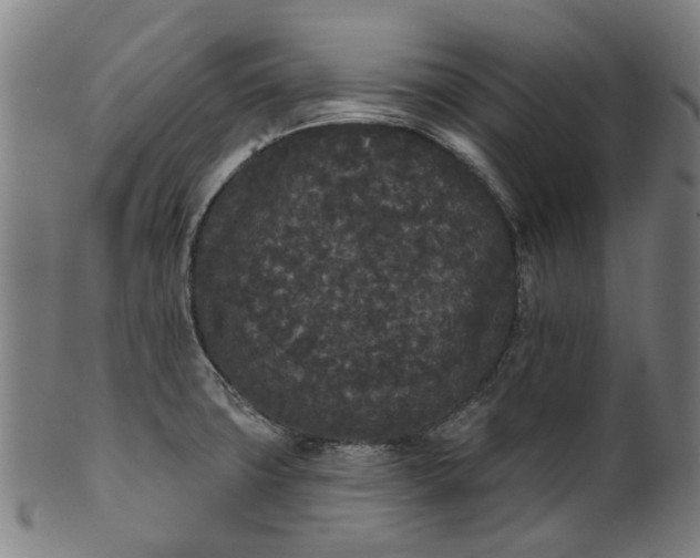 X0000101231427200807111109