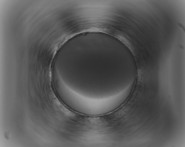 X0000101231428200807111109