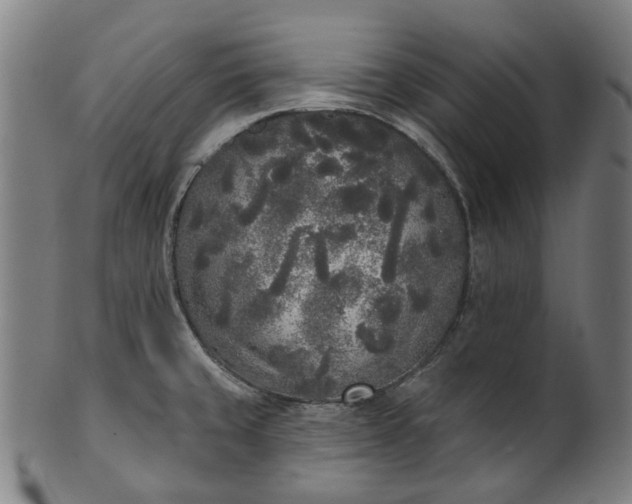 X0000101231429200807111109