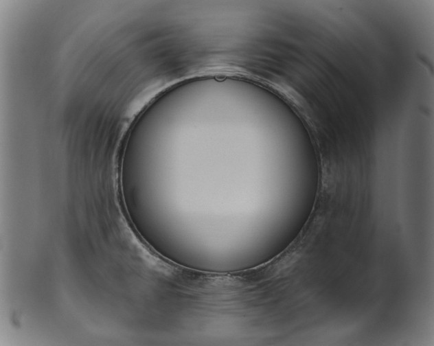 X0000101231430200807111109