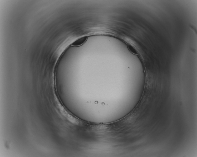 X0000101231431200807111109