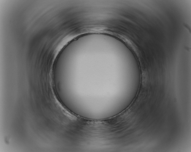 X0000101231432200807111110