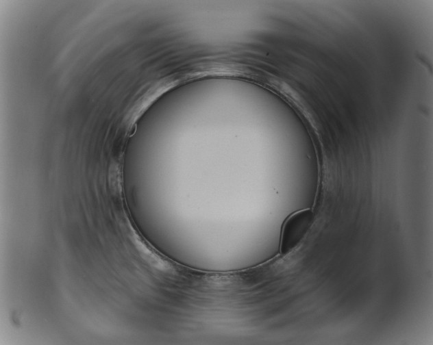 X0000101231433200807111110