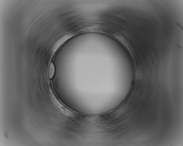 X0000101231434200807111110