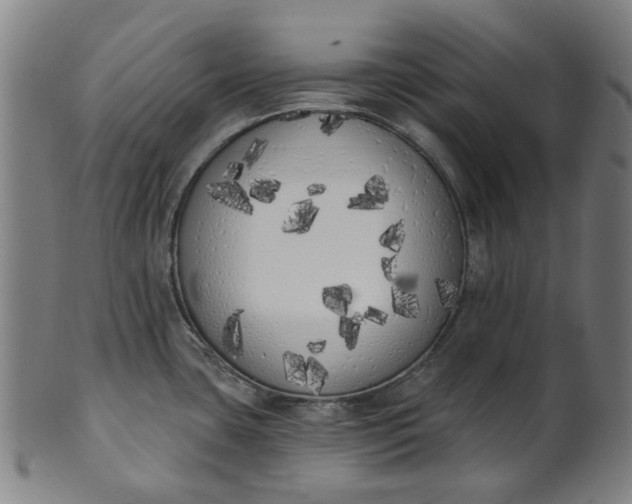 X0000101231435200807111110