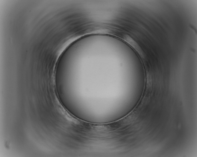 X0000101231436200807111110