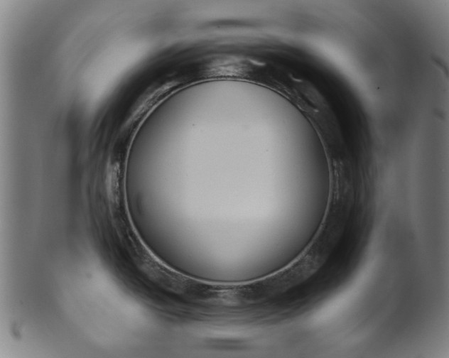 X0000101231438200807111110