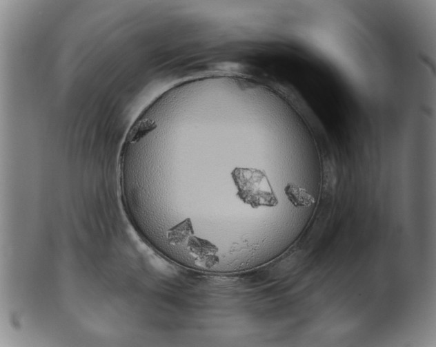 X0000101231439200807111110