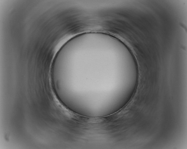 X0000101231440200807111110