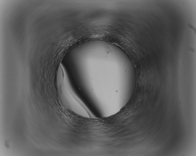 X0000101231441200807111109