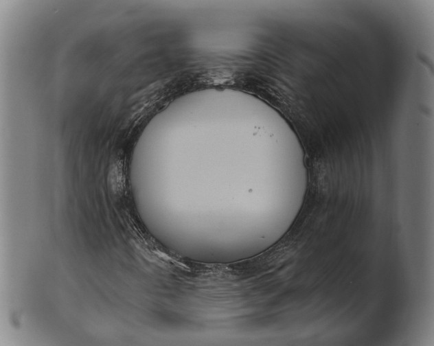 X0000101231442200807111109