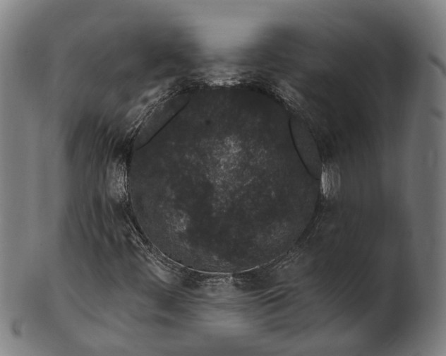 X0000101231444200807111109