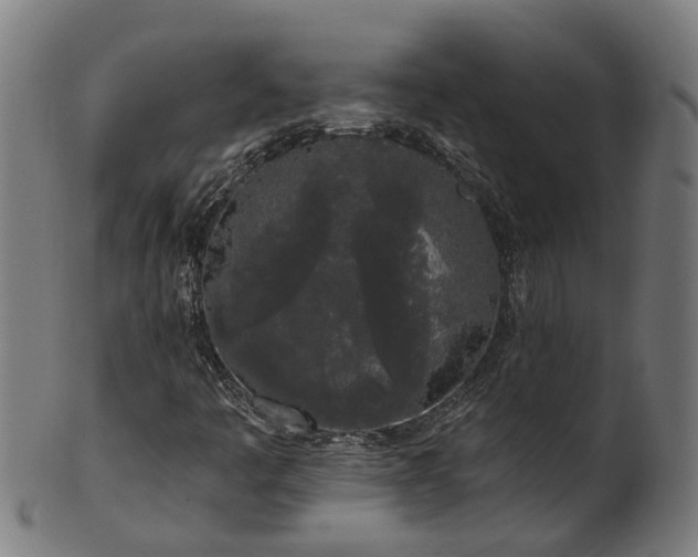 X0000101231445200807111109