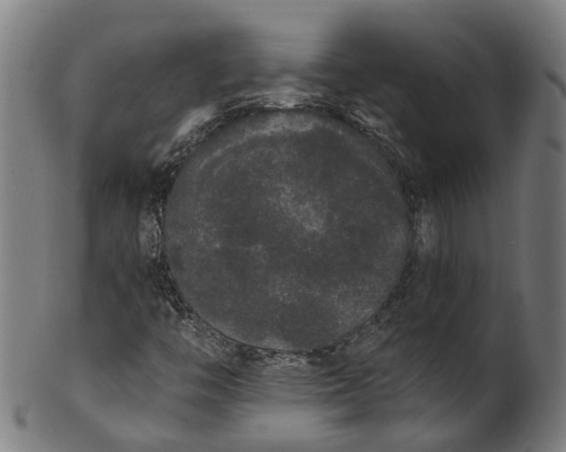 X0000101231446200807111109