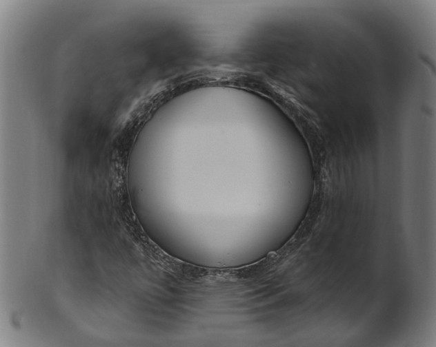 X0000101231447200807111109