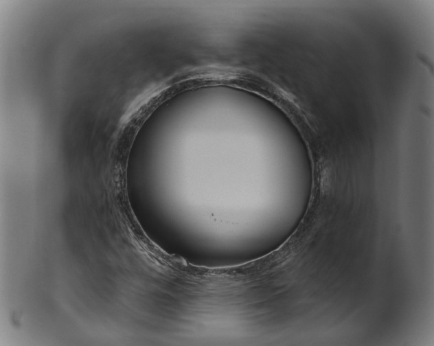 X0000101231448200807111109