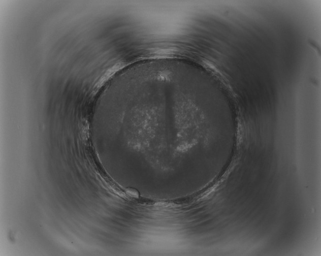 X0000101231449200807111109