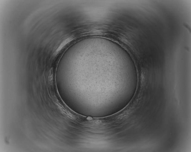 X0000101231450200807111109