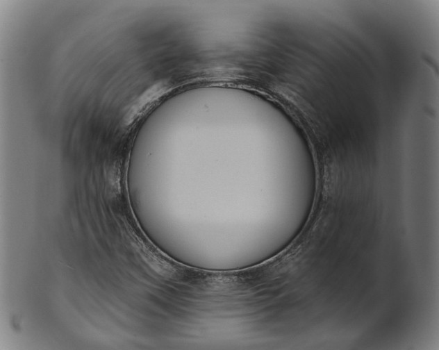 X0000101231451200807111109