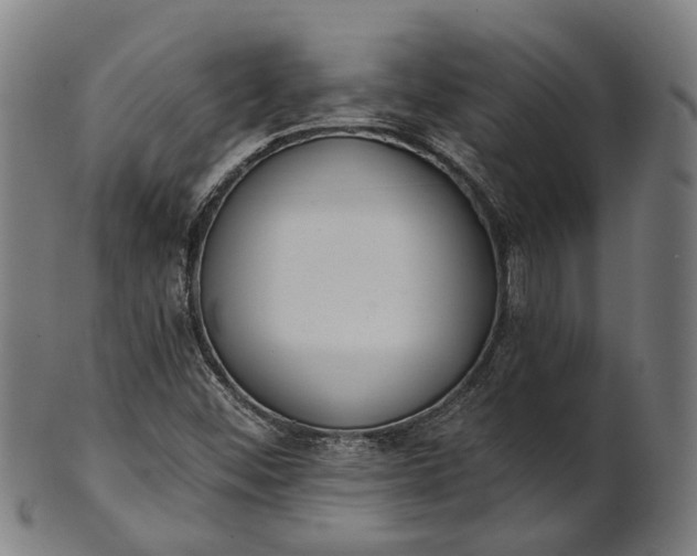 X0000101231452200807111109