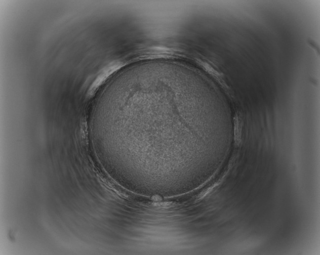 X0000101231453200807111109