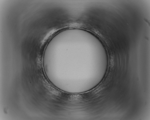 X0000101231454200807111109