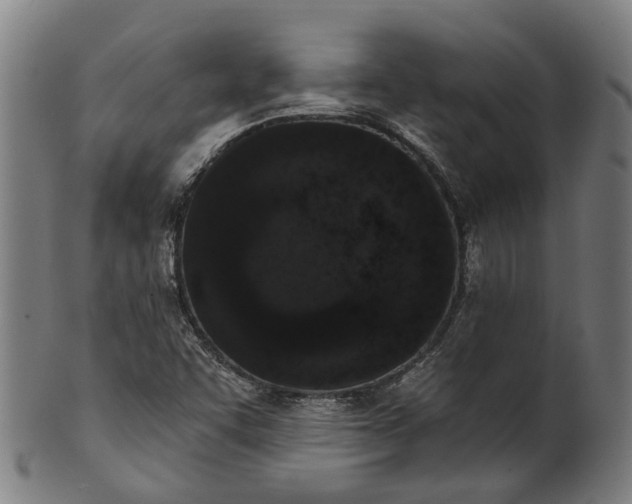 X0000101231455200807111109