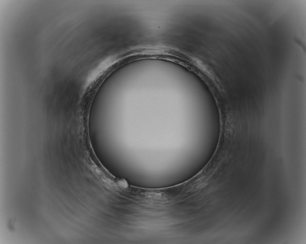 X0000101231456200807111109