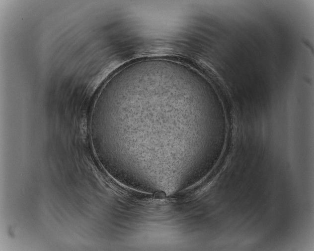 X0000101231457200807111109