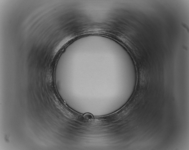 X0000101231458200807111109