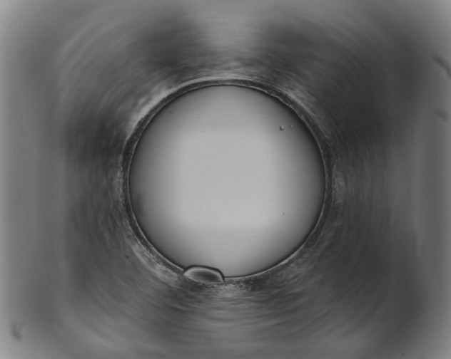 X0000101231460200807111109