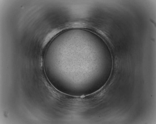 X0000101231461200807111109