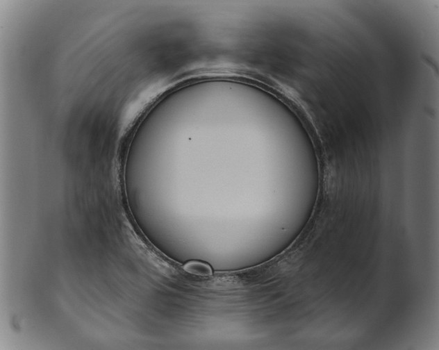 X0000101231464200807111109