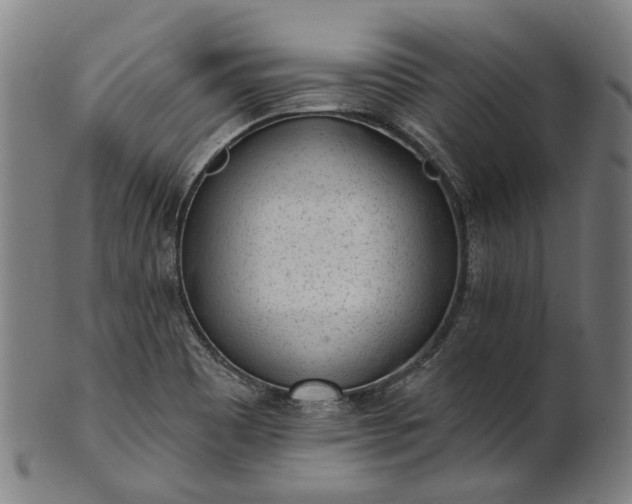 X0000101231465200807111109