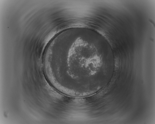 X0000101231466200807111109