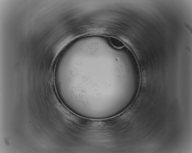 X0000101231467200807111109