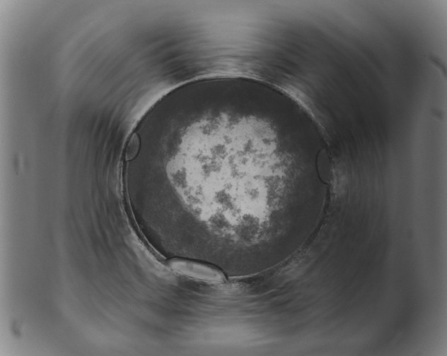 X0000101231468200807111109