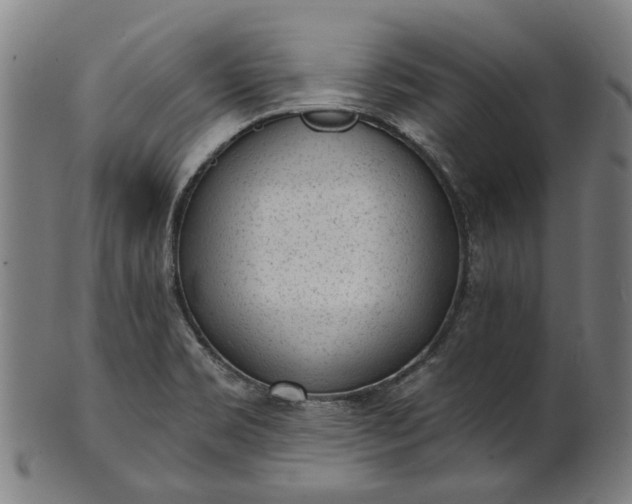 X0000101231469200807111109