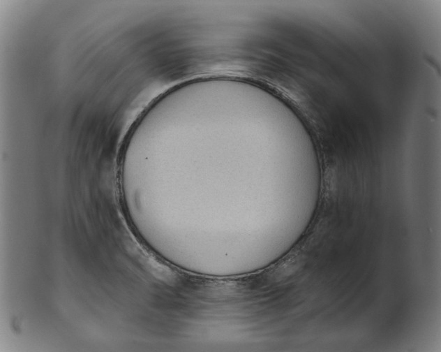 X0000101231470200807111109