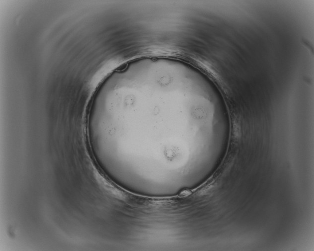 X0000101231471200807111109