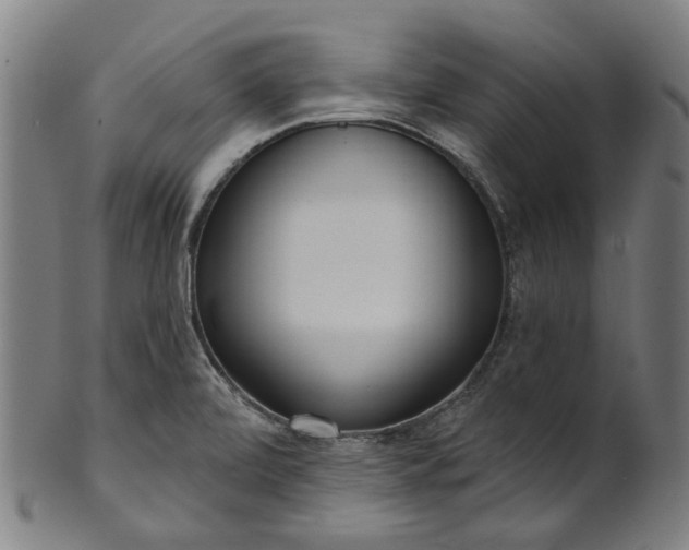 X0000101231472200807111109