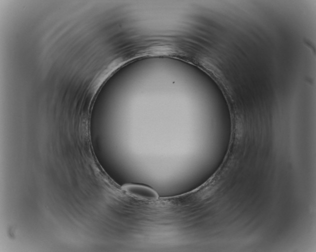 X0000101231473200807111108