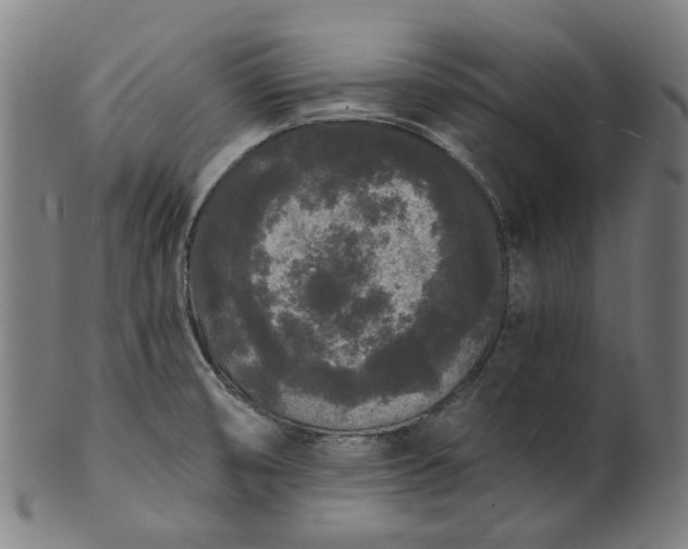 X0000101231474200807111108