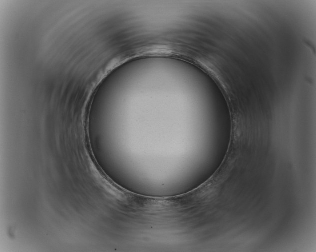 X0000101231475200807111108