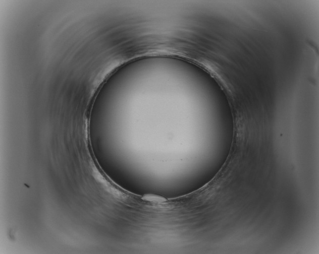 X0000101231476200807111108