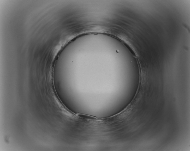 X0000101231477200807111108