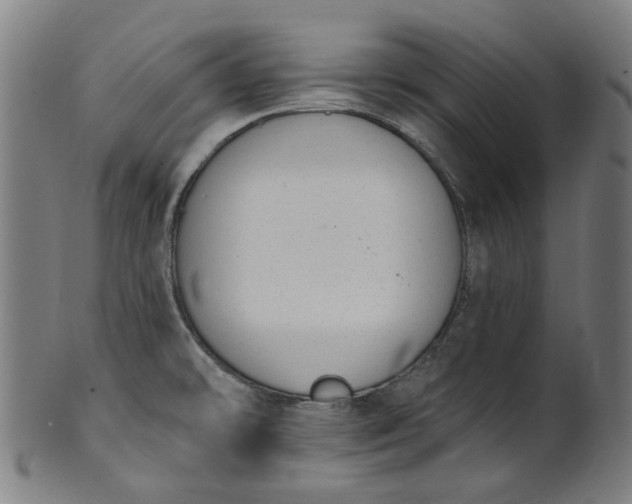 X0000101231478200807111108