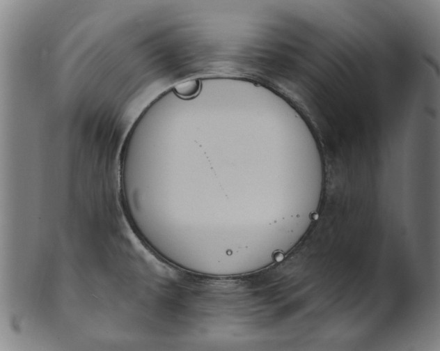 X0000101231479200807111108